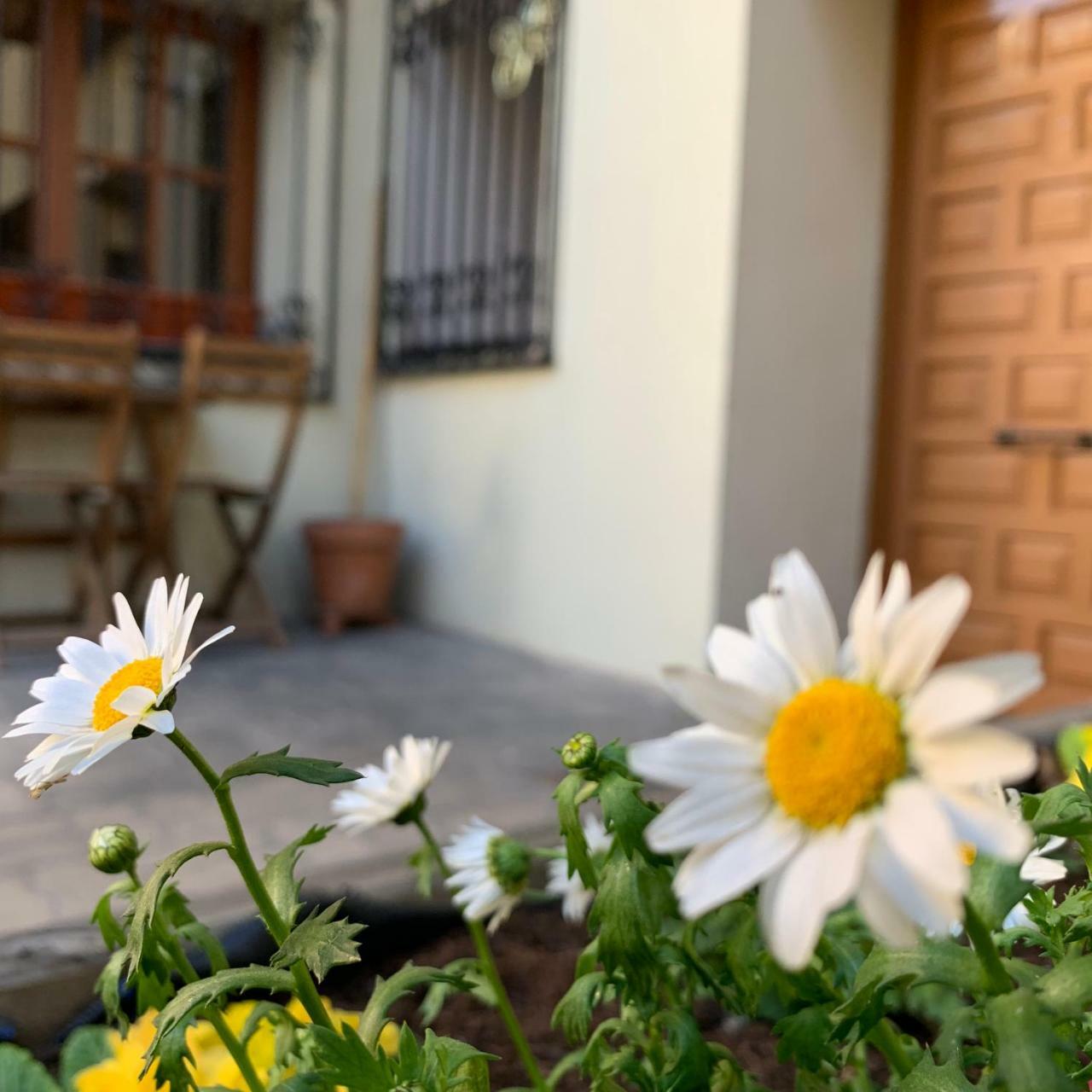 Espacios Blanco Plaza Del Viejo Coso 바야돌리드 외부 사진